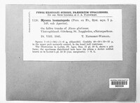 Image Associated With the Occurence